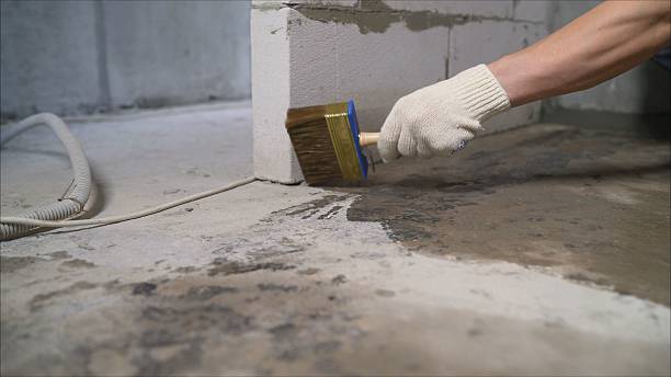 Top rated local Interior Drainage System specialists in Amherst, VA